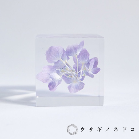 透明立方塊內嵌著一束淡紫色繡球花，花瓣精緻，莖葉清晰可見。立方塊材質光滑，光線穿透其中，營造出溫柔的視覺效果。