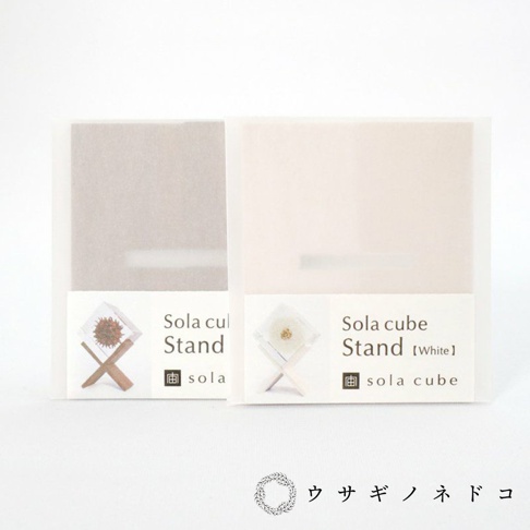 兩個 Sola cube 立方塊木質置物架，分別裝有深褐色乾燥花束和白色乾燥花，置於透明立方體內，底部為木質支架，外包裝紙盒顏色分別為淺灰色及淺米白色。