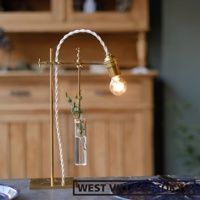 黃銅製一輪花器/燈具展示架，頂部帶有一個燈泡和白色編織電線，中央懸掛著一個玻璃試管花瓶，內有綠色枝葉。