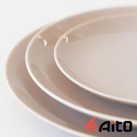 Aito 品牌簡約素雅質感圓餐盤六入組，特寫，俯視角度，營造溫暖氛圍