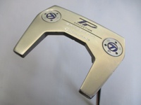 TP COLLECTION HYDRO BLAST BANDON TM1 推桿 (桿身 鋼[33])