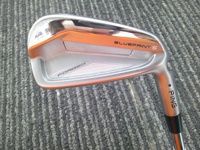 BLUEPRINT S 長鐵/混血桿/小雞腿 (桿身 DG EX TOUR ISSUE(JP))