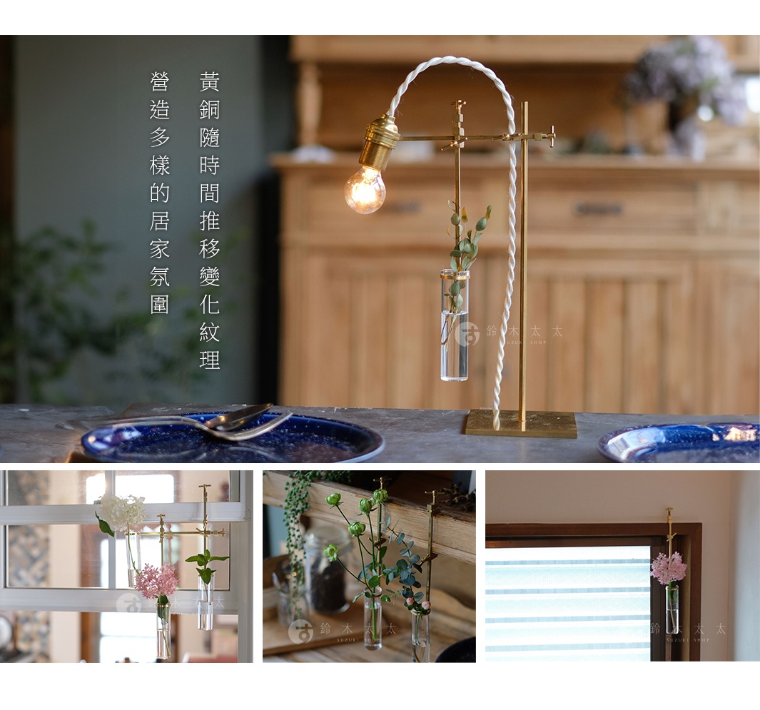 黃銅可夾式玻璃花器，帶有一盞暖黃色燈泡，展示玻璃試管中懸掛的綠葉枝條。