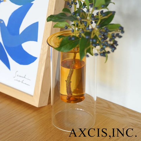 AXCIS, INC. 標誌旁，橘色內膽雙層玻璃花瓶內插著帶有藍色果實的綠葉枝條。