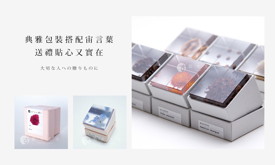 Sola cube 小松乙女櫻花立方塊，粉色包裝盒內含一朵紅色櫻花，透明盒裝內為壓製的植物標本，如乾燥花、種子等，置於白色紙盒中。