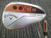 JAWS RAW CHROME 48-10S 挖起桿 (桿身 DG(JP))