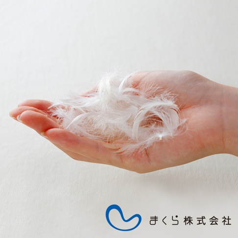 一隻手掌捧著大量蓬鬆、柔軟的白色極細羽毛，展現其輕盈質感。