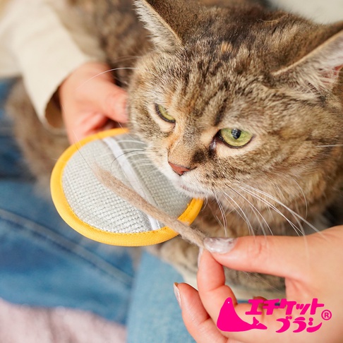 一名女子正拿著圓形的 Nippon Seal 貓咪專用浮毛梳理刷為一隻棕色虎斑貓梳理毛髮，梳理刷邊緣為黃色，表面為灰色織物材質，刷面上沾有剛清理下來的貓毛，下方印有粉紅色的品牌標誌。