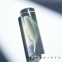 透明樹脂包裹的桃面牡丹鸚鵡羽毛標本，羽毛呈綠色，帶有白色羽絨，金屬光澤的羽枝分明，置於圓柱形透明樹脂塊中，背景為白色，有陰影。