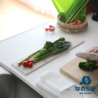 UB珪藻土瞬間吸水置物墊 (長形款-M)