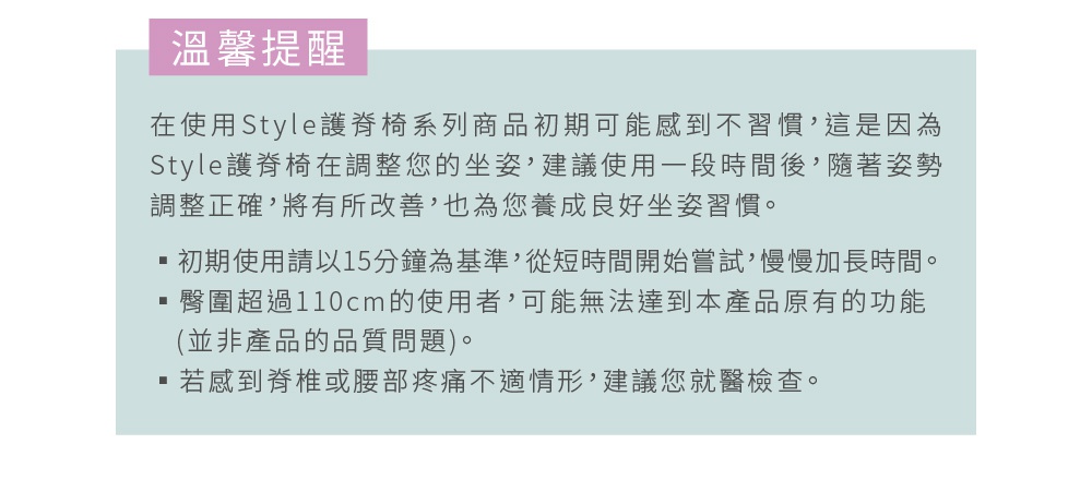 Standard II 美姿調整椅 II 輕便款。此為產品介紹文字，非商品圖片。