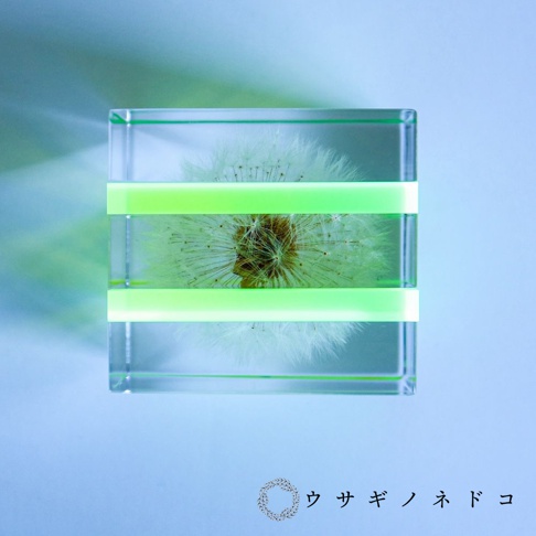 透明壓克力塊中封存著一株蒲公英，塊體夾有兩條螢光綠色橫條，光線穿透壓克力塊，在背景上投下綠色光暈。