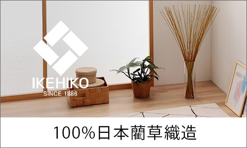 日常家居_九州IKEHIKO_桌機板