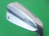 P790 2023 7I 單號鐵 (桿身 N.S.PRO 950GHneo(JP) 1S)