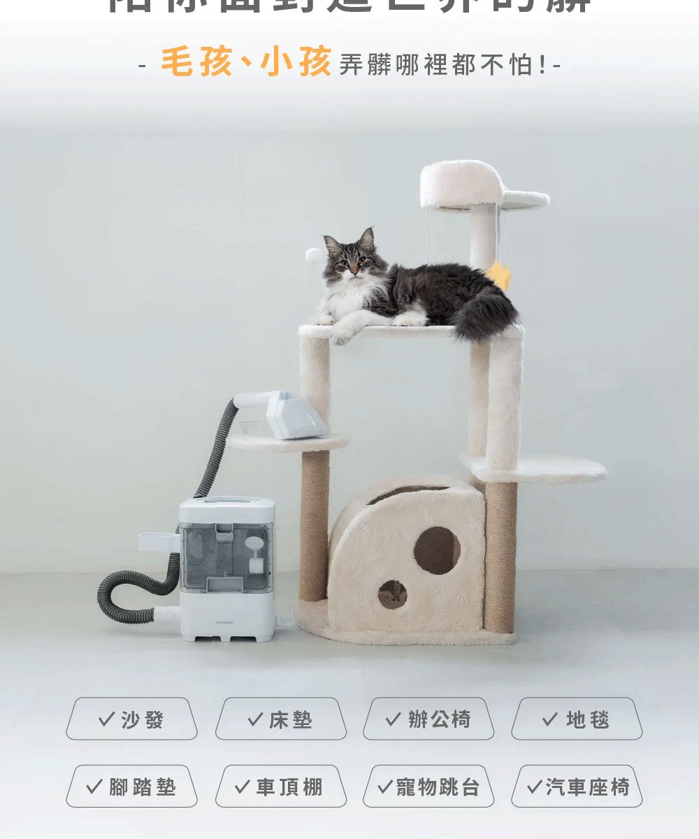 白色織物清潔機，配有灰色軟管和寬頭清潔刷，旁邊是米白色絨毛貓抓板，一隻虎斑貓躺在貓抓板上。