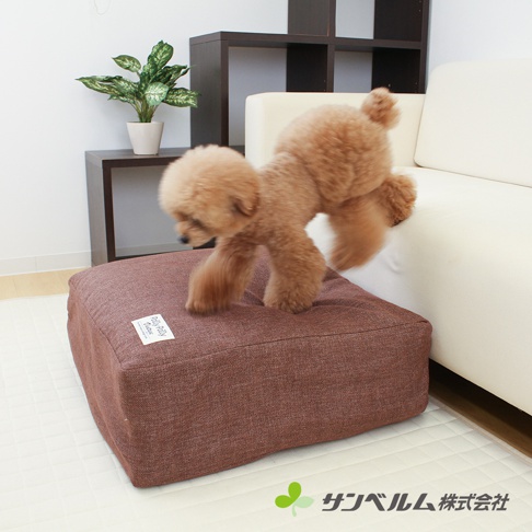 棕色方形收納袋，布面紋理，上有白色標籤，一隻棕色貴賓犬正跳上收納袋。