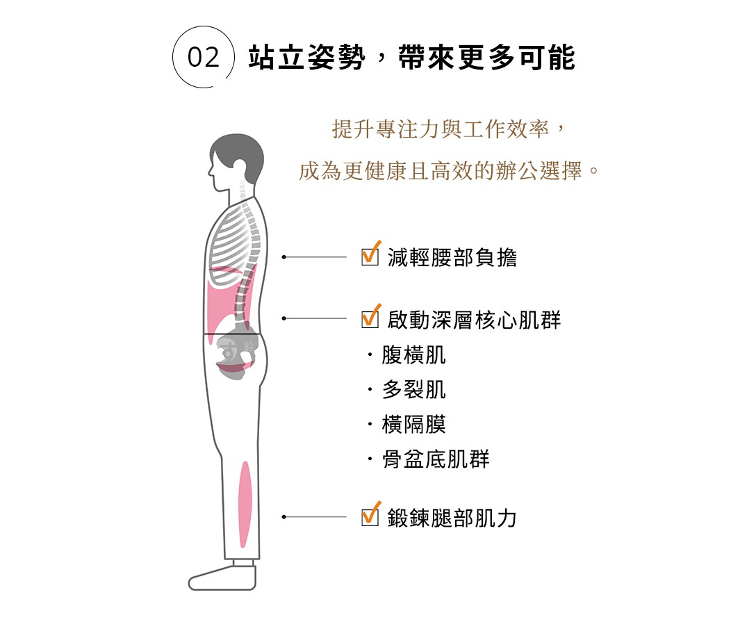 02.站立姿勢，帶來更多可能
提升專注力與工作效率，成為更健康且高效的辦公選擇。


✅ 減輕腰部負擔
✅ 啟動深層核心肌群
腹橫肌
多裂肌
橫隔膜
骨盆底肌群
✅ 鍛鍊腿部肌力


