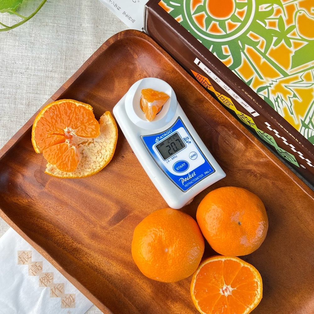 和歌山最高傑作物蜜柑 15玉禮盒 (1kg)主圖2_