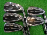 Qi 鐵桿組 (桿身 NSPRO820GH(JP) 5S)