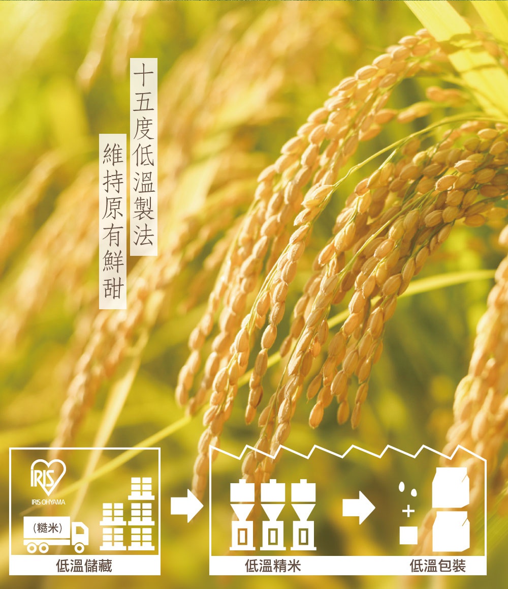 金黃色稻穗特寫，下方有「十五度低溫製法 維持原有鮮甜」文字，並包含低溫儲藏、低溫精米、低溫包裝的流程示意圖，圖示為白色。