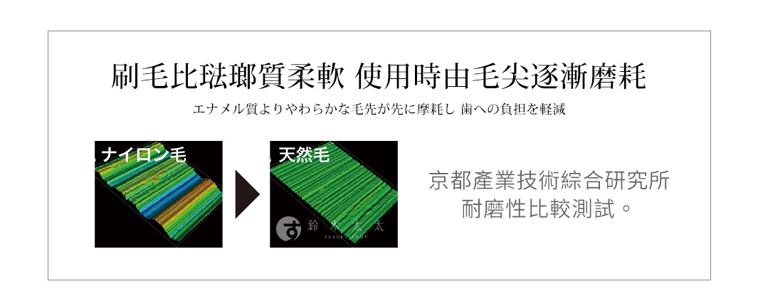 圖片文字：刷毛比琺瑯質柔軟 使用時由毛尖逐漸磨耗 エナメル質よりやわらかな毛先が先に摩耗し 歯への負担を軽減 京都産業技術総合研究所 耐磨性比較測試。左側為尼龍毛的三維顯微圖像，右側為天然毛的三維顯微圖像，中間有箭頭標示，下方帶有鈴木商事商標。
