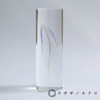 透明樹脂包裹著一根虎皮鸚鵡羽毛標本，羽毛呈現藍色與白色，羽軸為金黃色，置於淺色背景中。