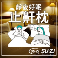 AS 快眠止鼾枕