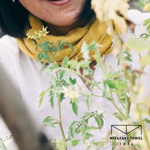 一位女士佩戴著芥末黃色的今治匹馬棉經典圍巾，圍巾材質柔軟，圍繞在脖子上。