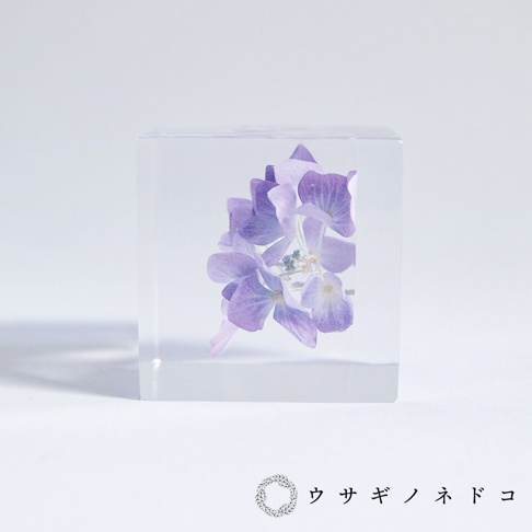 透明立方體中封存著一束淡紫色繡球花，花瓣層疊，內部散發著柔和的光澤。