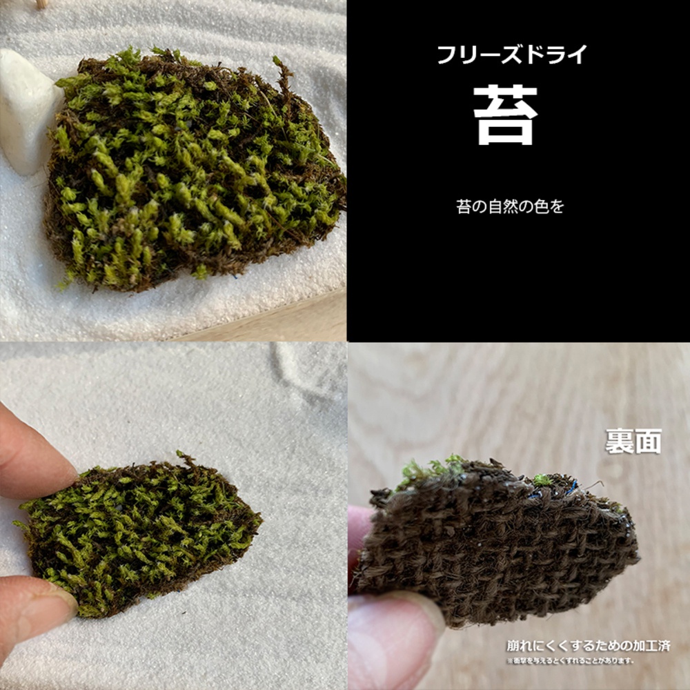 一塊乾燥苔蘚，呈現綠色及褐色，底部為褐色編織材質，置於白色細沙上，背景有日文文字「フリーズドライ 苔」。