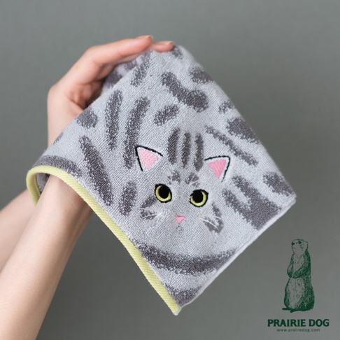 一隻手持著一條灰色的方巾，方巾上有精緻的灰色虎斑貓刺繡圖案，貓咪擁有黃色的雙眼與粉色的耳朵，方巾邊緣帶有淺綠色的包邊設計，右下角印有Prairie Dog品牌標誌與官網網址。