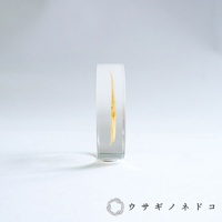 透明壓克力圓片標本，內含一隻淡黃色、結構精緻的海星。