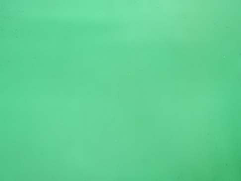 1330169168_6
