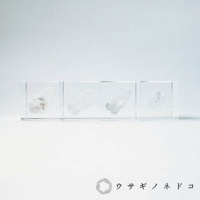 四個透明立方體展示盒，內含不同形狀的天然水晶礦石，色澤以透明、半透明為主，部分礦石帶有淺黃色或灰白色雜質。