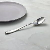 若水系列霧面不鏽鋼晚餐匙