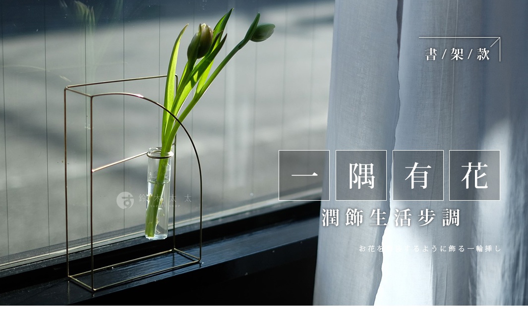 黃銅色金屬線條構成的簡約幾何框架，內置玻璃試管，種植著兩支含苞待放的鬱金香，綠葉舒展，光影投射。