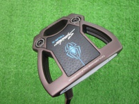 SPIDER TOUR TORCHED SS TruePath 推桿 (桿身 KBS CT 120[33])