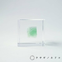 透明立方體中展示著一塊綠色螢石礦石，其表面呈現出層疊紋理。