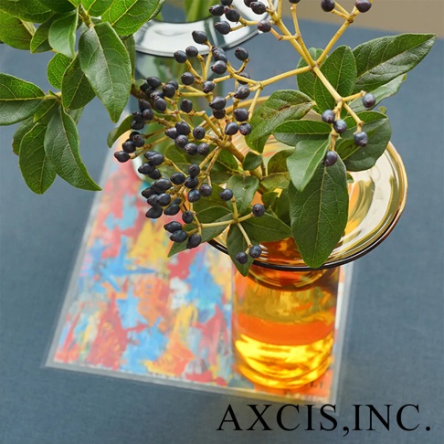 AXCIS, INC. 標誌在一個由綠葉和深色漿果組成的精緻花束下方。