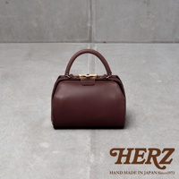 深棕色皮革手提包，帶有金色口金和提把，整體呈現醫藥包造型，質感紮實。