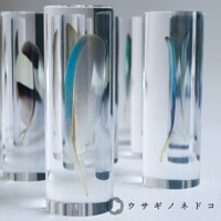 透明壓克力管中展示著數根鳥類羽毛標本，包括藍色、綠色、白色及黑色的羽毛。