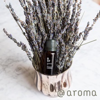 植物系列-B07 佛手柑薰衣草精油(10ml)