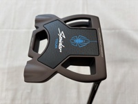 SPIDER TOUR TORCHED SS TruePath 推桿 (桿身 KBS CT 120[34])