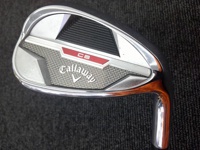 10/1/48 挖起桿 (桿身 N.S.PRO 950GHneo(JP))