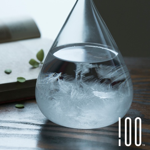 玻璃製的Tempo Drop天氣瓶(小)，瓶身為水滴狀，內含透明液體，底部有冰霜結晶。背景為打開的書籍和綠葉。