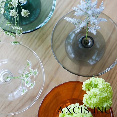 AXCIS, INC. Logo 旁擺放著綠色花朵，背景是四個不同顏色和大小的玻璃花瓶，內有白色與淺藍色的小花。