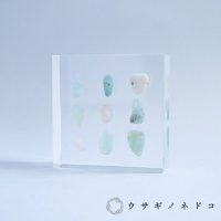 Sola Tile 1.5cm厚切型片狀標本 細石