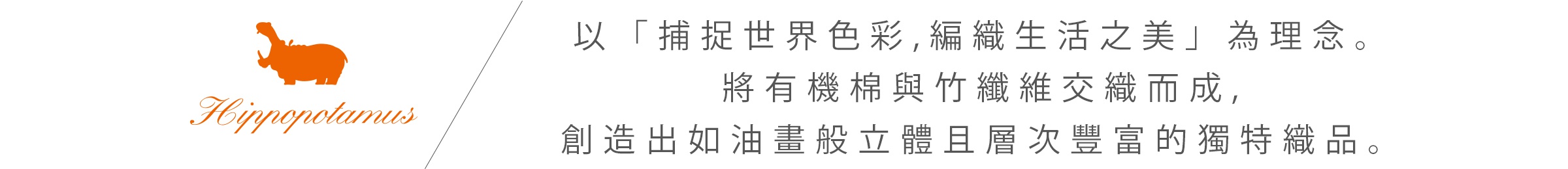 全站毛巾品牌綜合特輯_48河馬織物