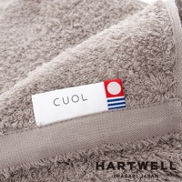 CUOL 品牌標籤縫在淺灰色的細緻毛巾上，毛巾材質柔軟，紋理清晰。標籤一側有紅、白、藍色塊圖案，另一側印有「CUOL」字樣。