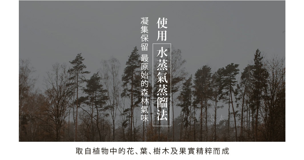 森林景觀背景，前景為多棵高聳的針葉樹和落葉樹，樹木呈深綠色和棕褐色，天空為陰沉的灰色。畫面中央有白色文字，說明產品使用水蒸蒸餾法，能凝聚保留最原始的森林氣味。